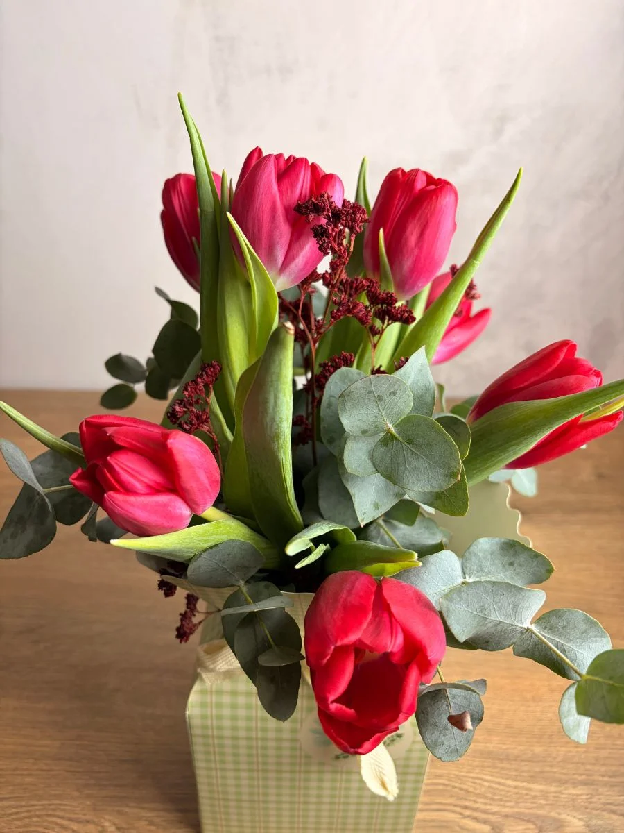 tulipanes2