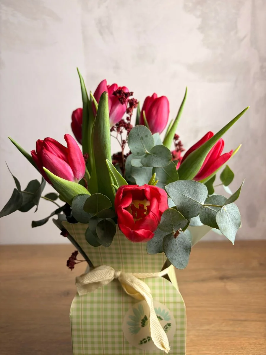 tulipanes3